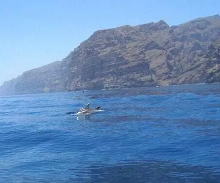 El Paraiso En Gigantes