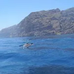 El Paraiso En Gigantes