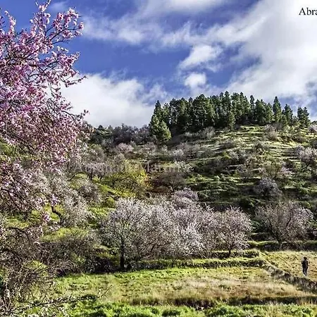 El Paraiso En Gigantes Daire Santiago del Teide