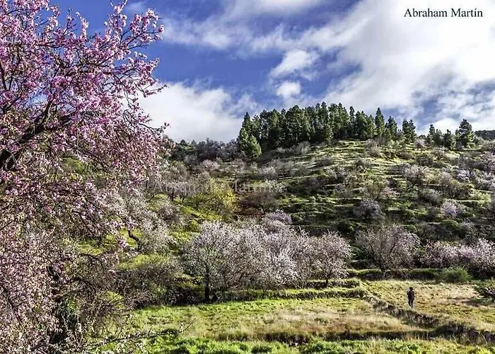 El Paraiso En Gigantes Lägenhet Santiago del Teide