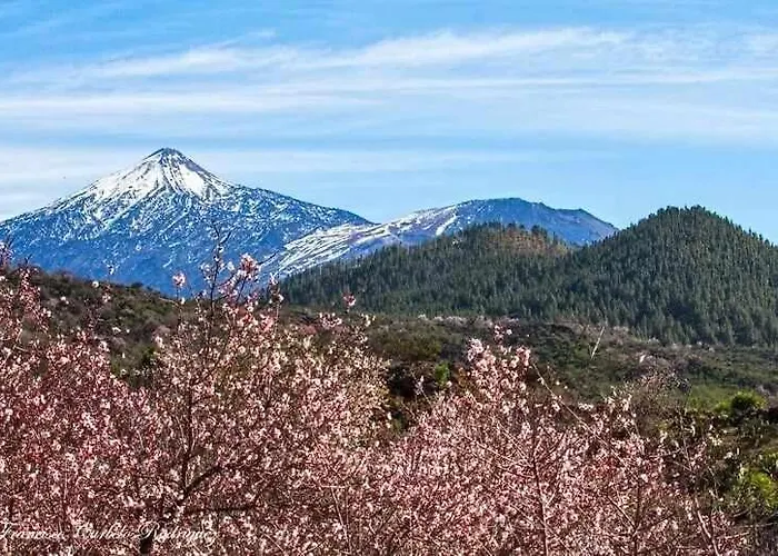 Lägenhet El Paraiso En Gigantes *